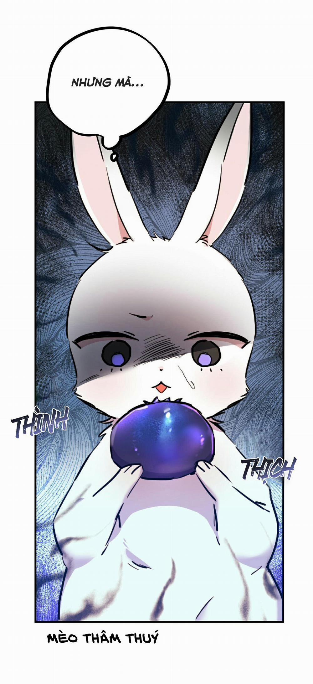 Những Chú Thỏ Của Habibi 2 trang 51