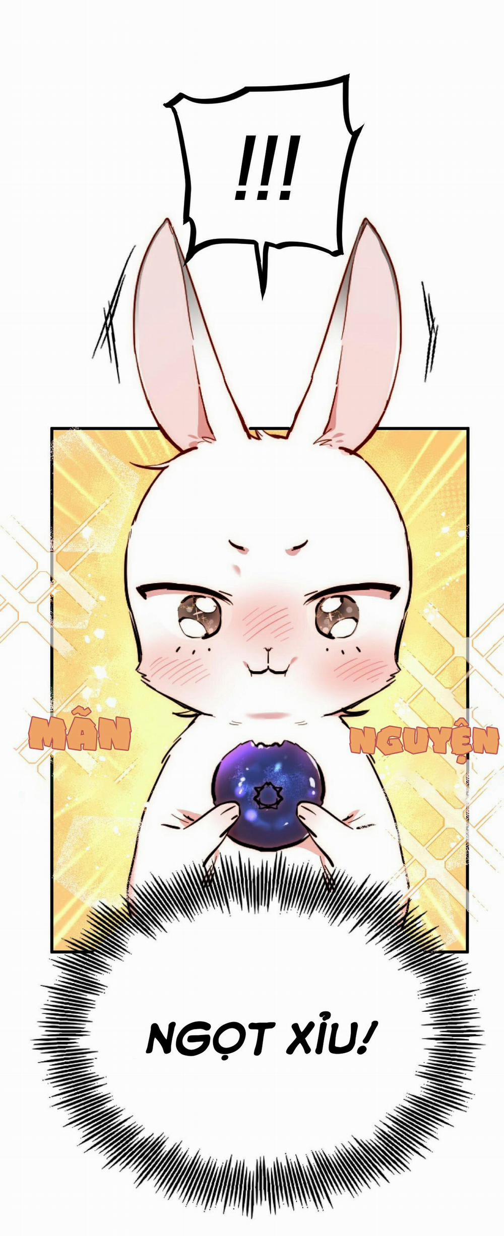 Những Chú Thỏ Của Habibi 2 trang 53