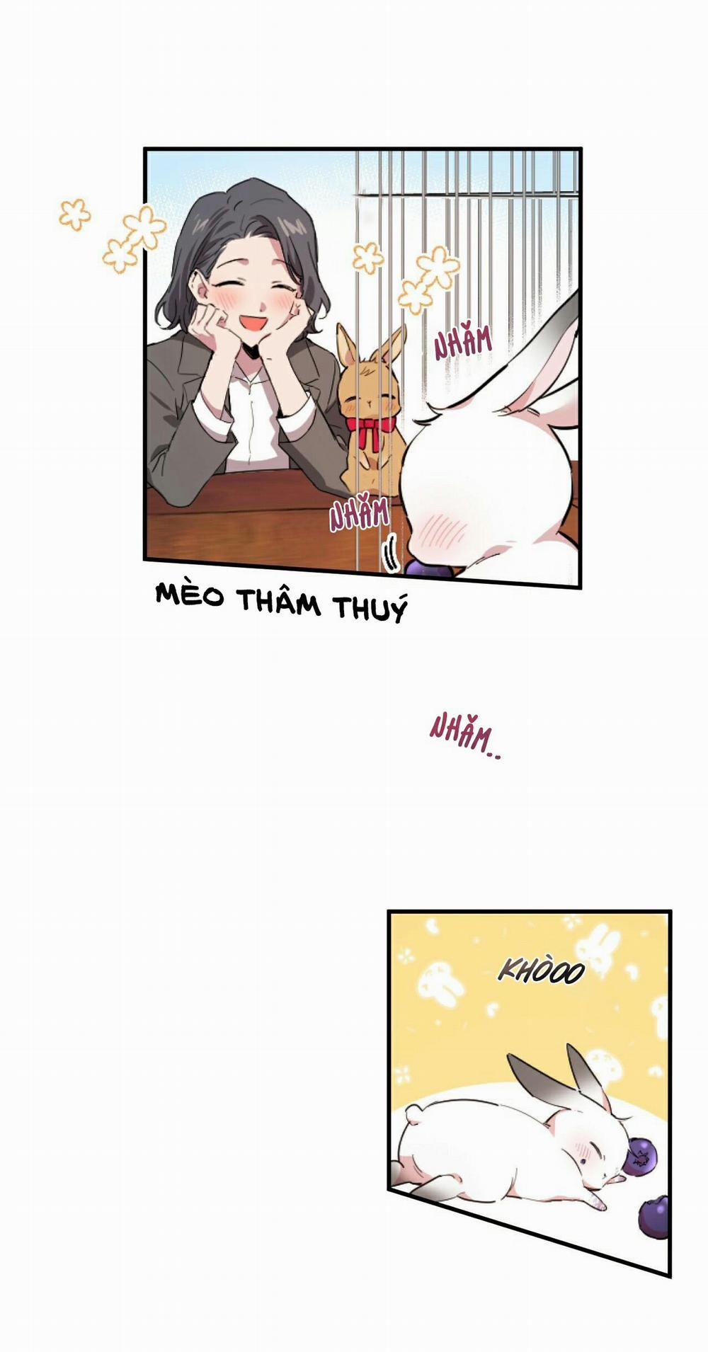 Những Chú Thỏ Của Habibi 2 trang 54