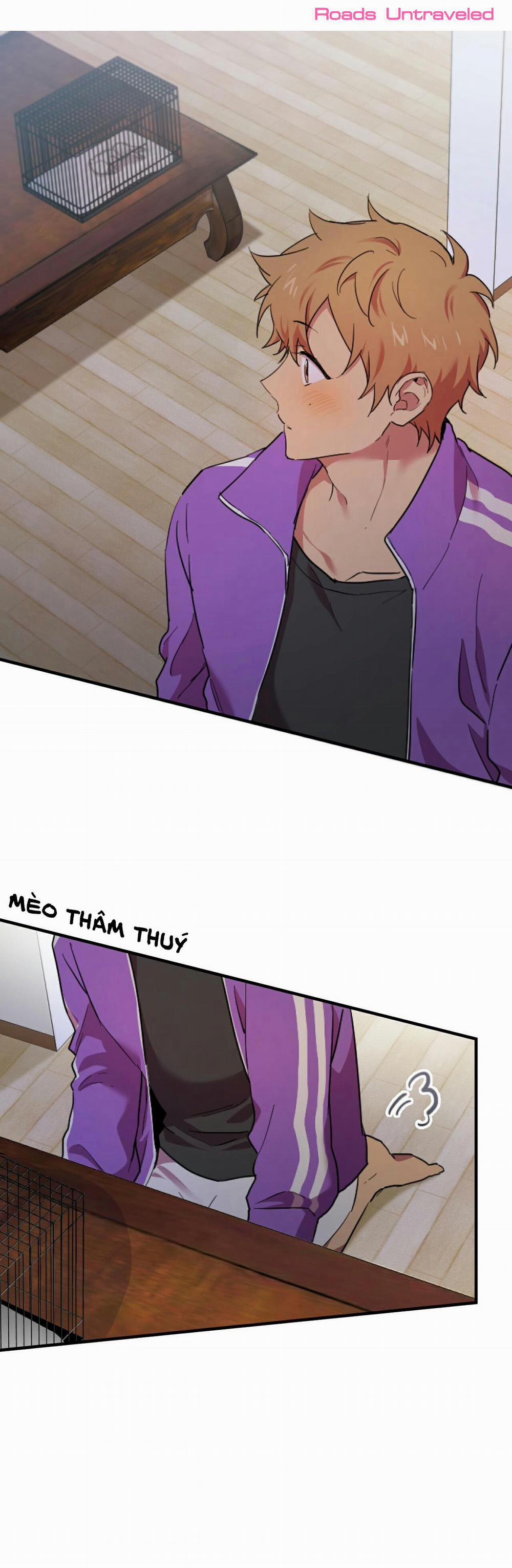 Những Chú Thỏ Của Habibi 2 trang 57