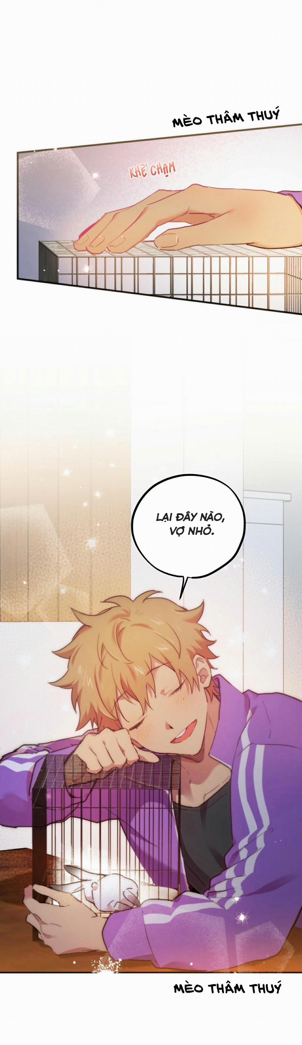 Những Chú Thỏ Của Habibi 2 trang 58