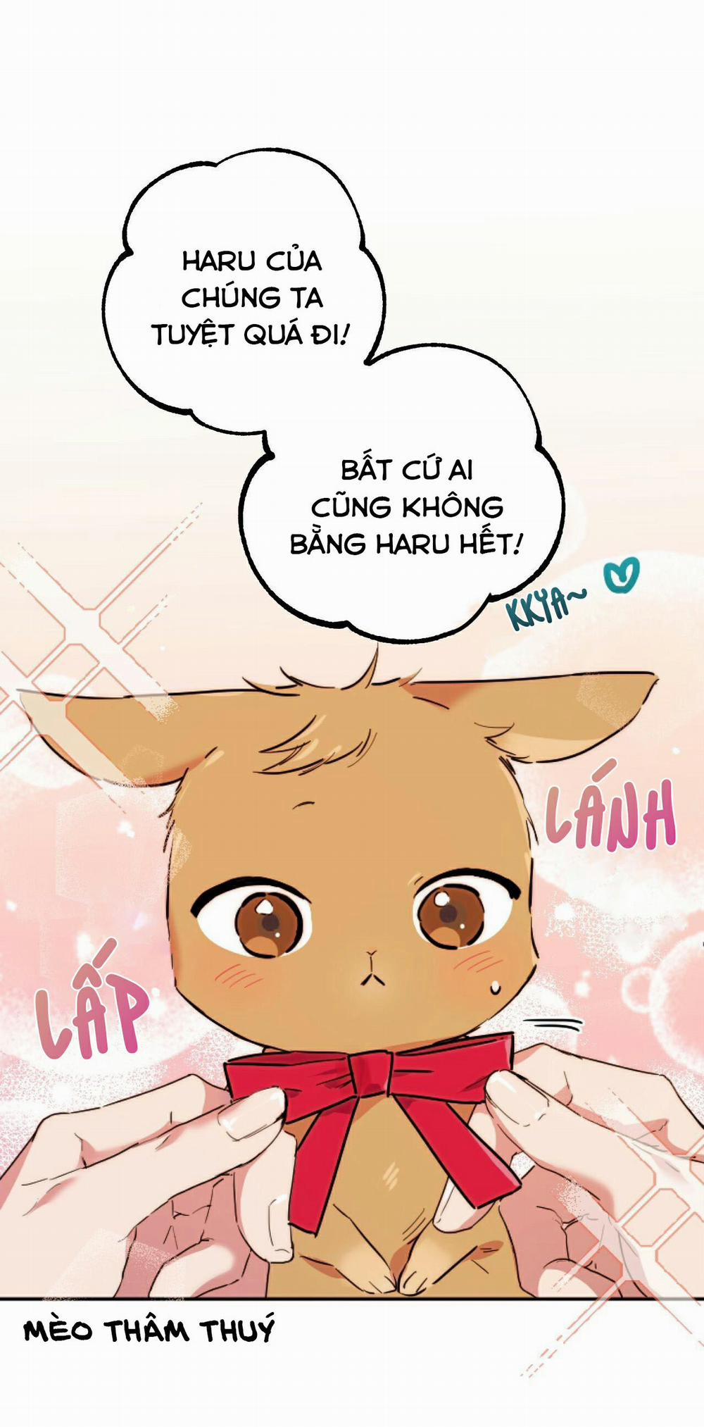 Những Chú Thỏ Của Habibi 2 trang 8