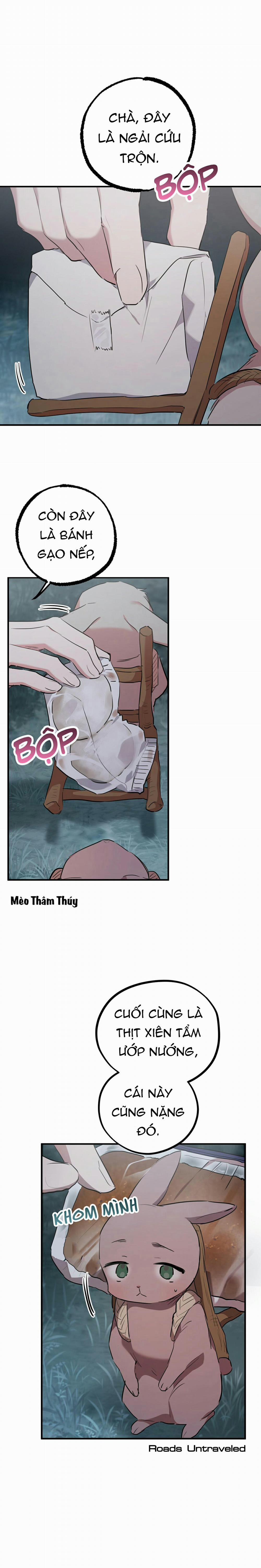 Những Chú Thỏ Của Habibi 20 trang 1