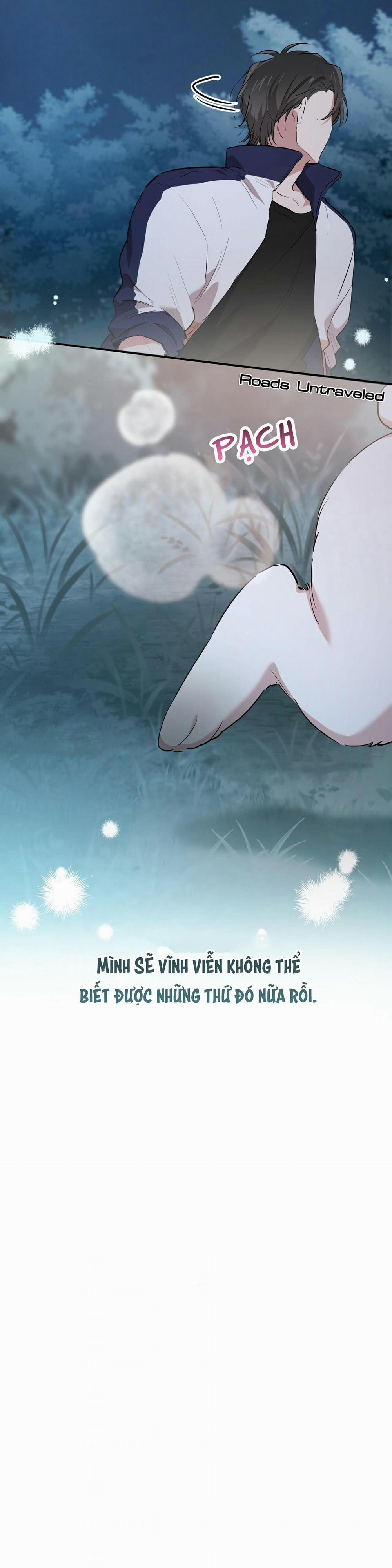 Những Chú Thỏ Của Habibi 20 trang 10