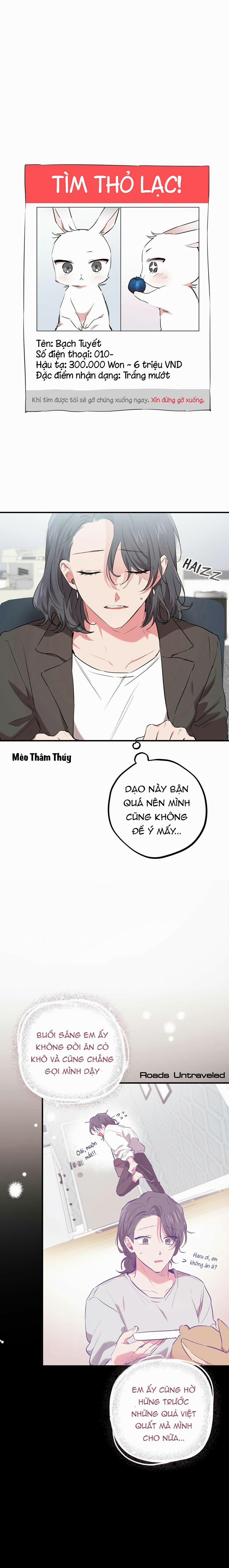 Những Chú Thỏ Của Habibi 20 trang 11