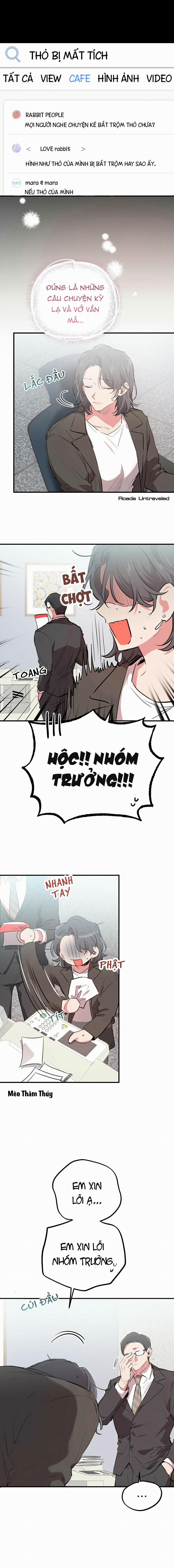 Những Chú Thỏ Của Habibi 20 trang 14