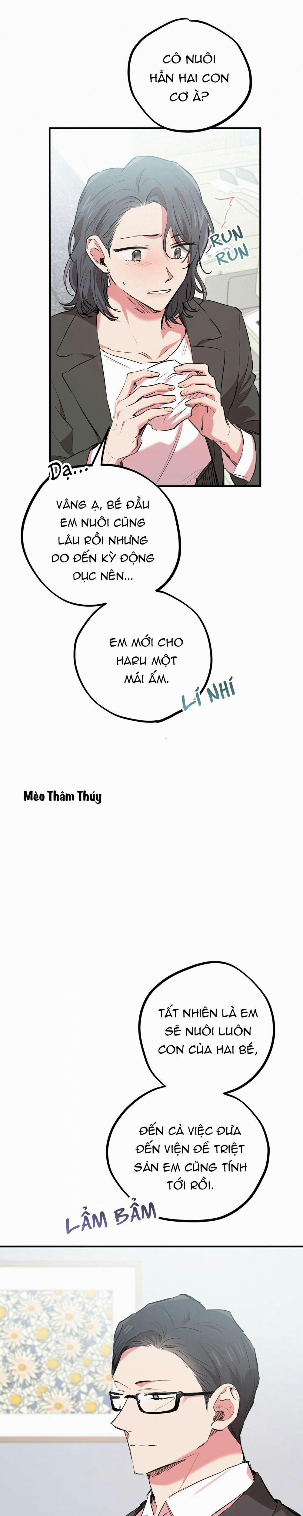 Những Chú Thỏ Của Habibi 20 trang 15