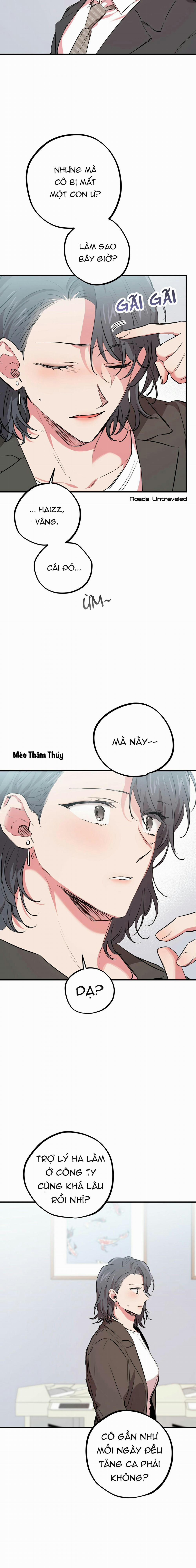 Những Chú Thỏ Của Habibi 20 trang 16