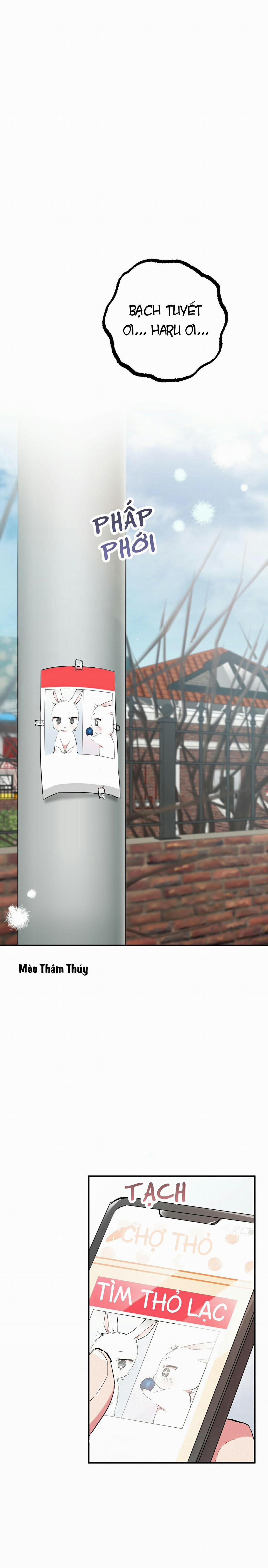 Những Chú Thỏ Của Habibi 20 trang 20