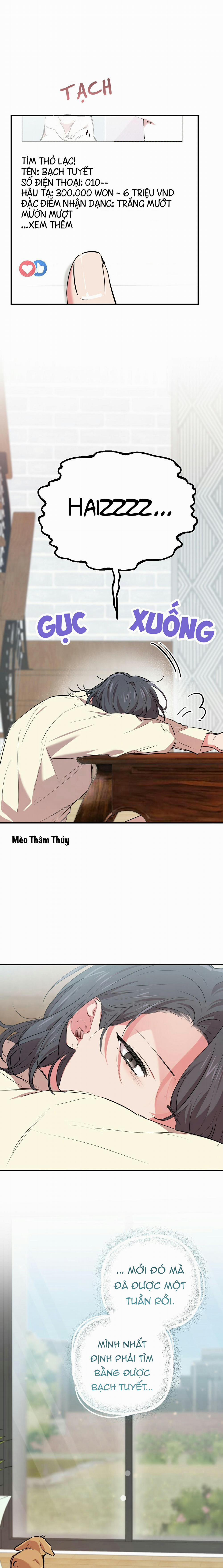 Những Chú Thỏ Của Habibi 20 trang 21