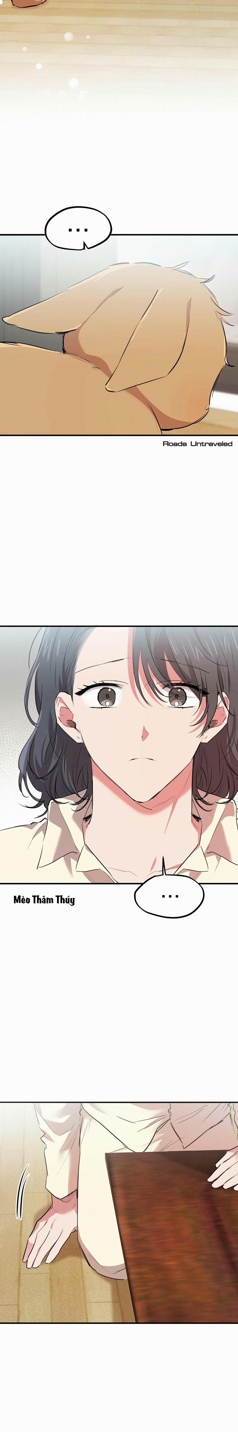 Những Chú Thỏ Của Habibi 20 trang 22