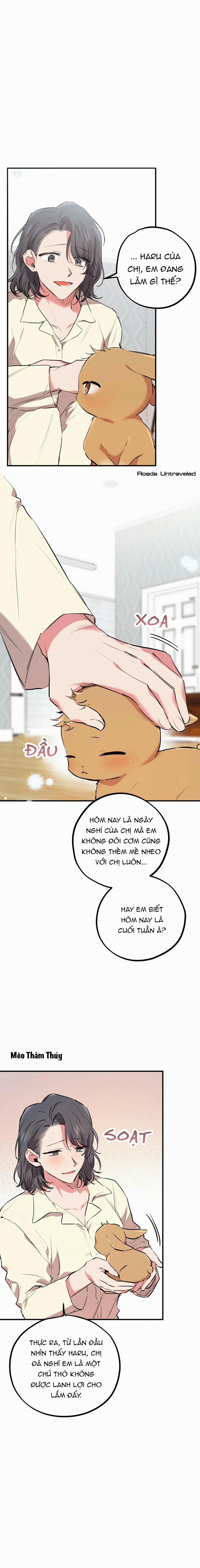 Những Chú Thỏ Của Habibi 20 trang 23