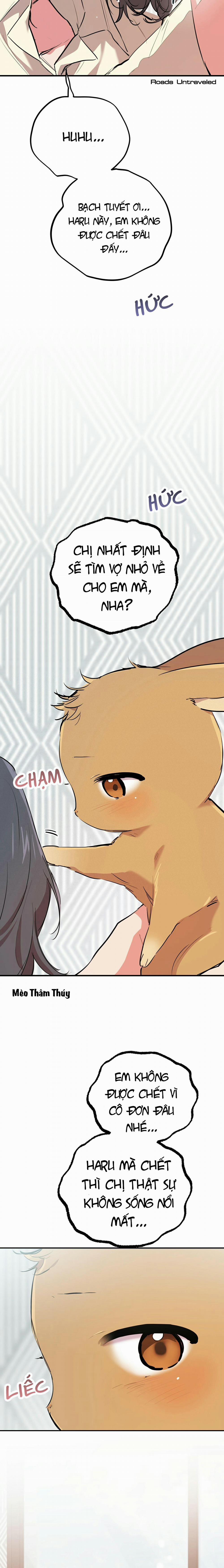 Những Chú Thỏ Của Habibi 20 trang 26