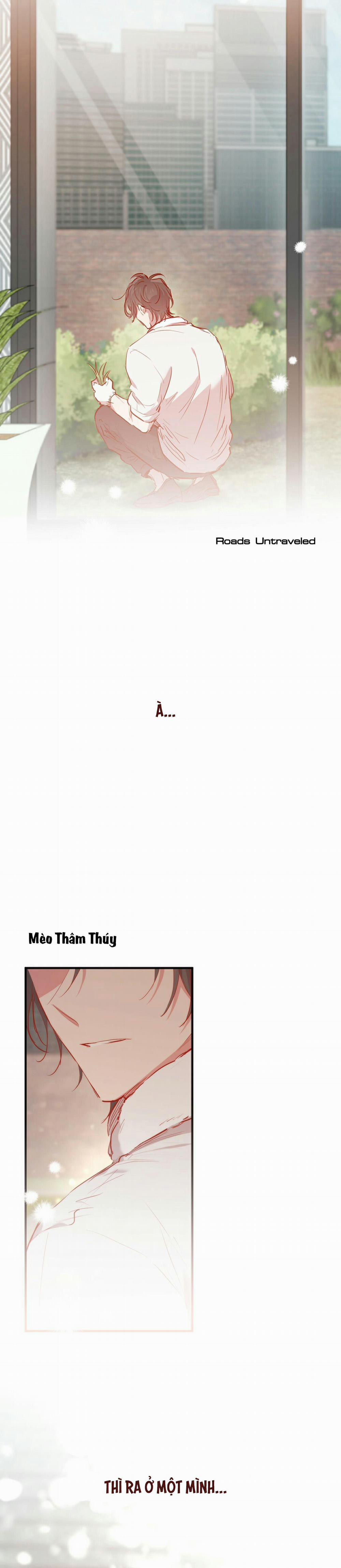 Những Chú Thỏ Của Habibi 20 trang 27