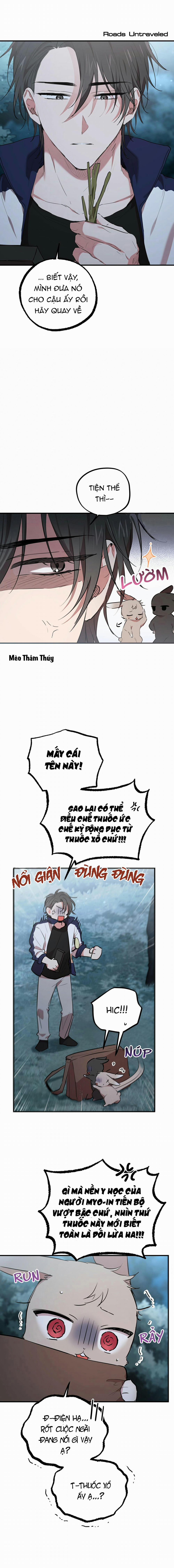 Những Chú Thỏ Của Habibi 20 trang 3