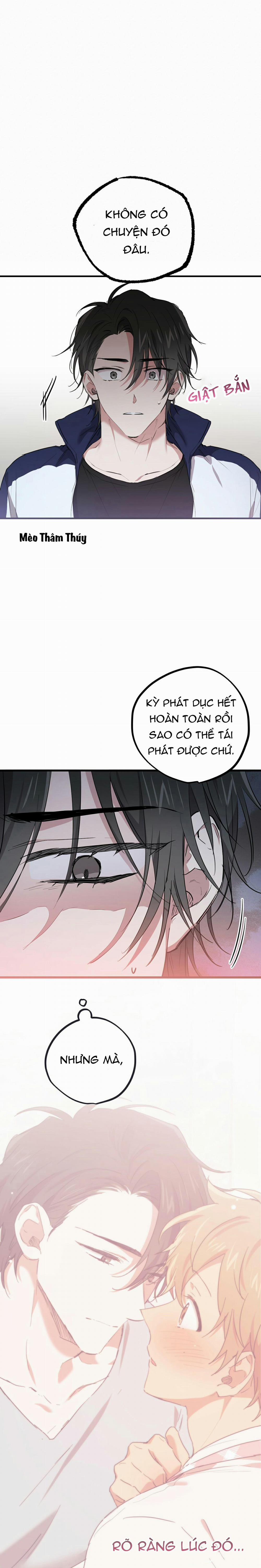 Những Chú Thỏ Của Habibi 20 trang 6