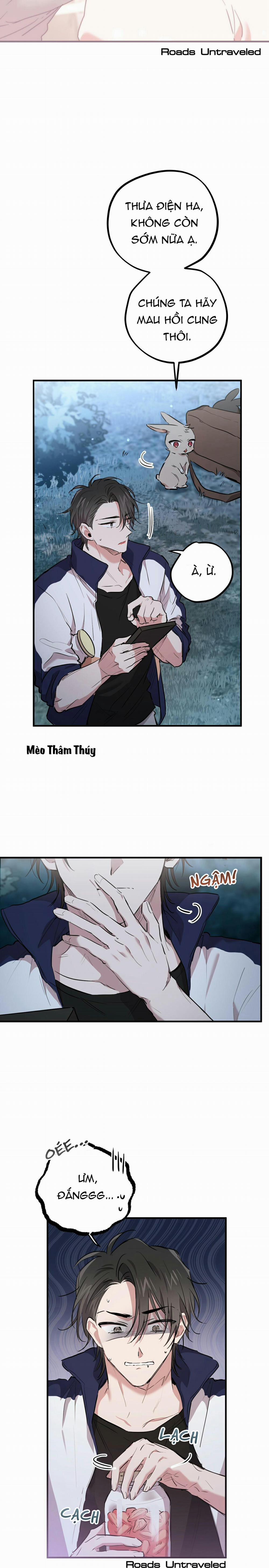 Những Chú Thỏ Của Habibi 20 trang 7