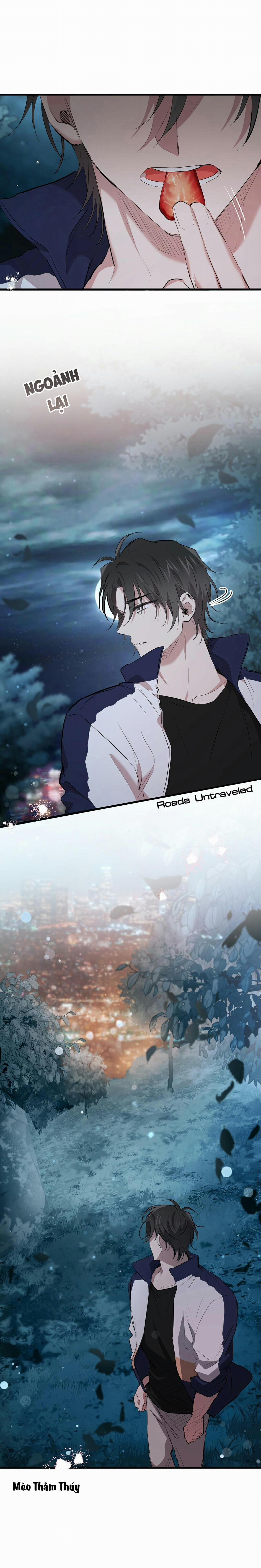 Những Chú Thỏ Của Habibi 20 trang 8