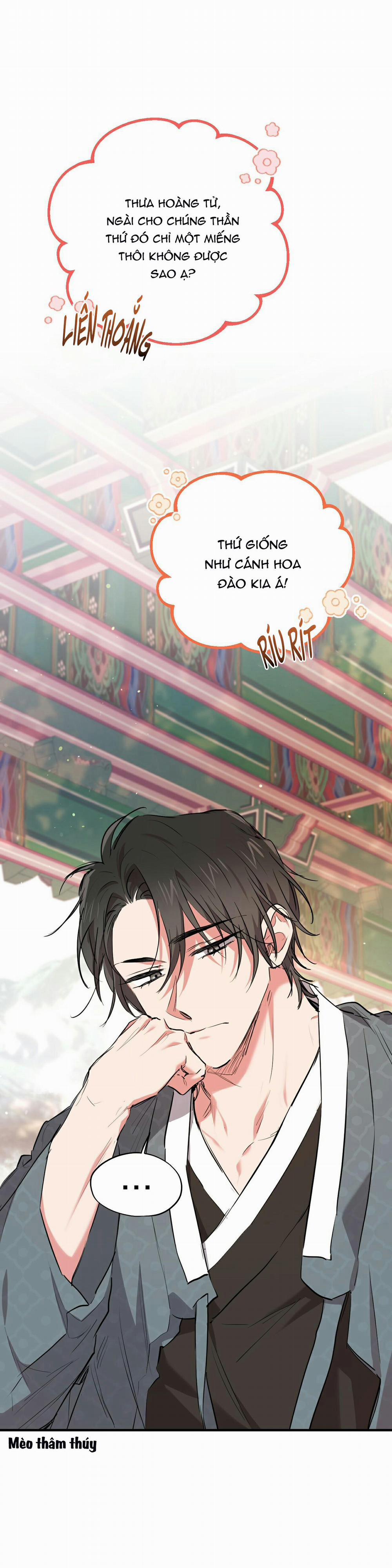 Những Chú Thỏ Của Habibi 21 trang 1