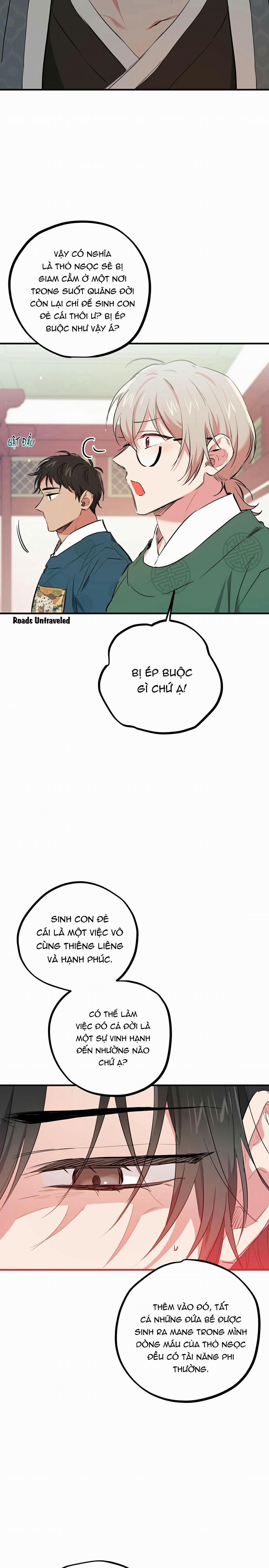 Những Chú Thỏ Của Habibi 21 trang 11