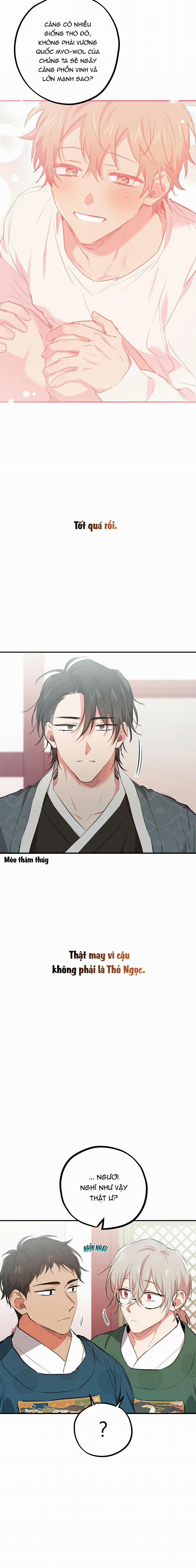 Những Chú Thỏ Của Habibi 21 trang 12