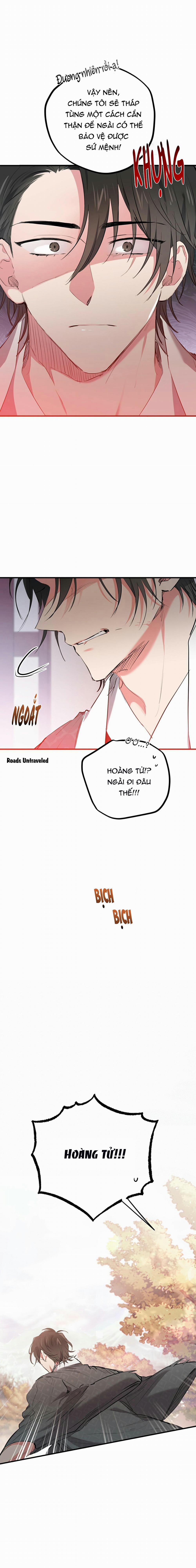 Những Chú Thỏ Của Habibi 21 trang 13