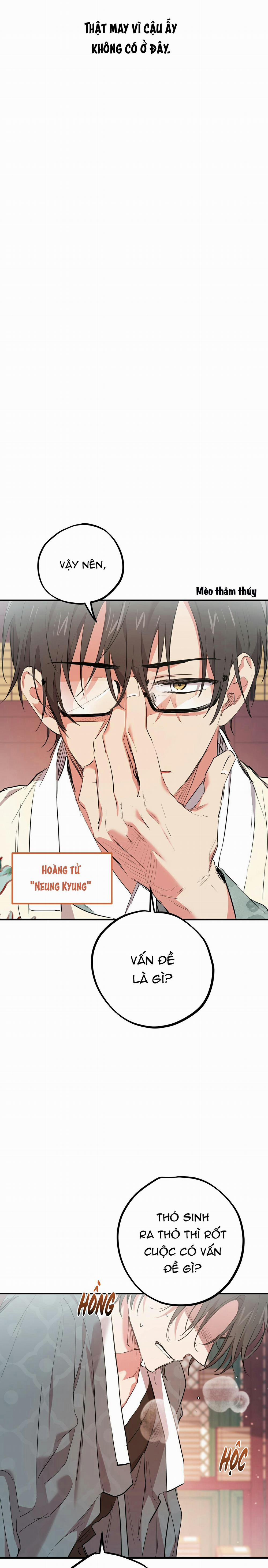 Những Chú Thỏ Của Habibi 21 trang 14