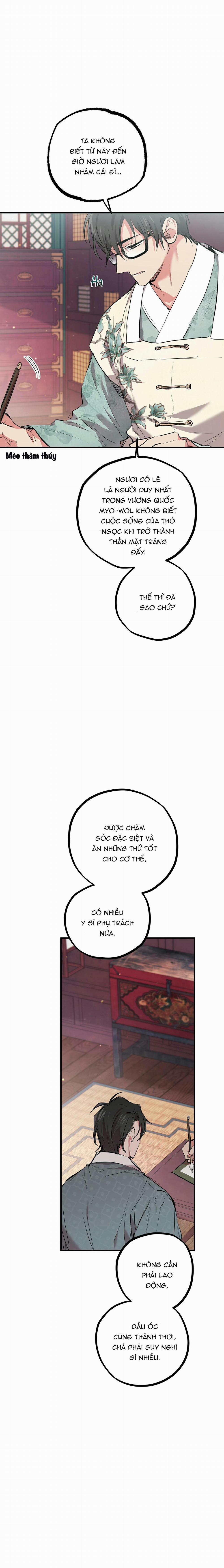 Những Chú Thỏ Của Habibi 21 trang 18