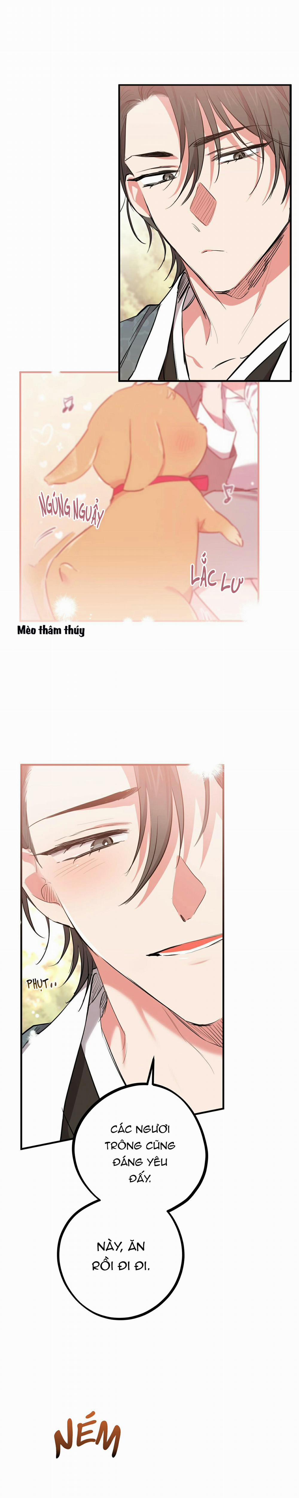 Những Chú Thỏ Của Habibi 21 trang 2