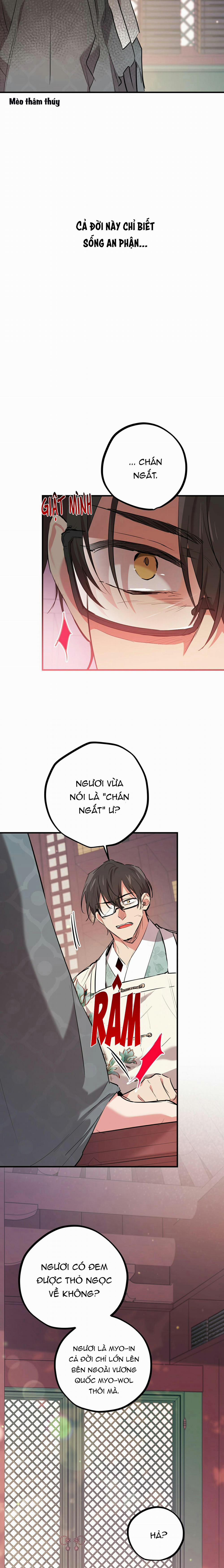 Những Chú Thỏ Của Habibi 21 trang 22