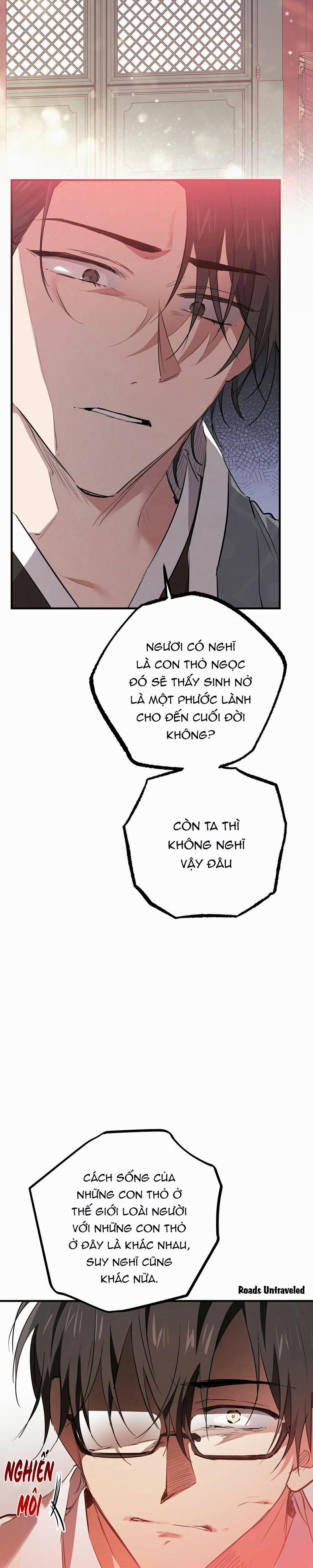 Những Chú Thỏ Của Habibi 21 trang 23