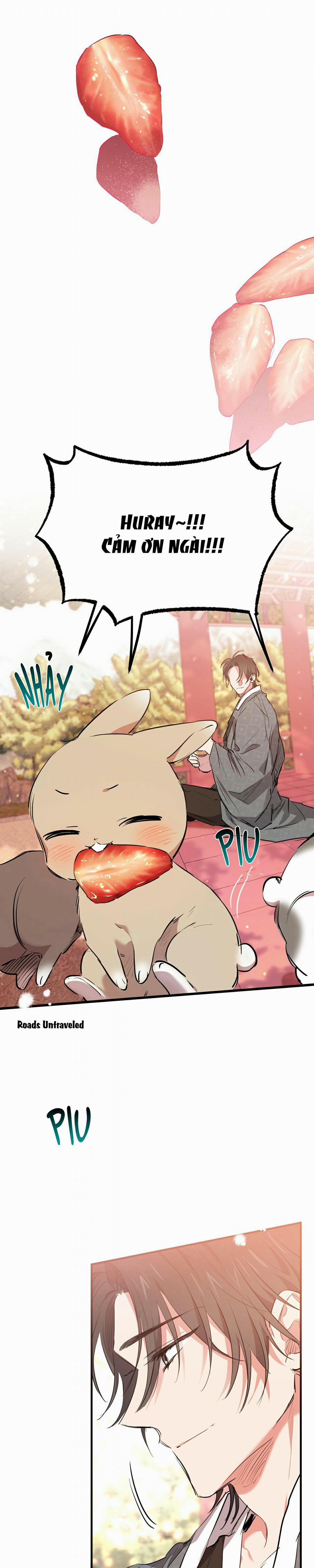 Những Chú Thỏ Của Habibi 21 trang 3