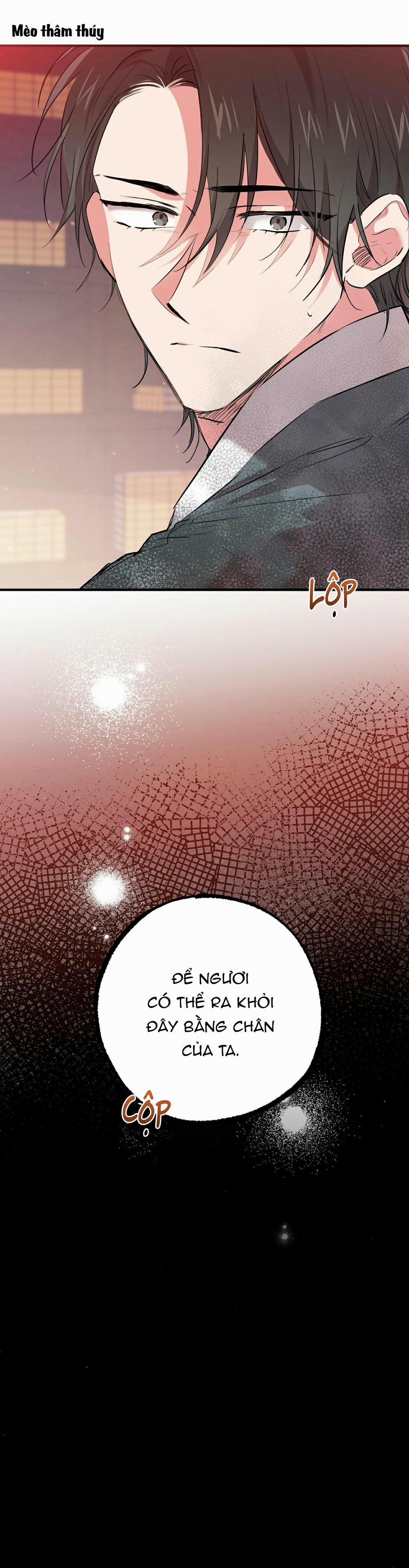 Những Chú Thỏ Của Habibi 21 trang 30