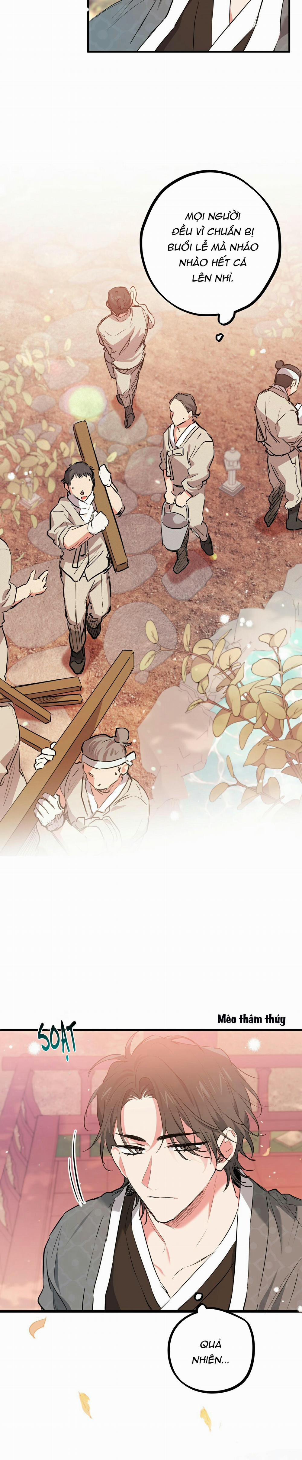 Những Chú Thỏ Của Habibi 21 trang 4