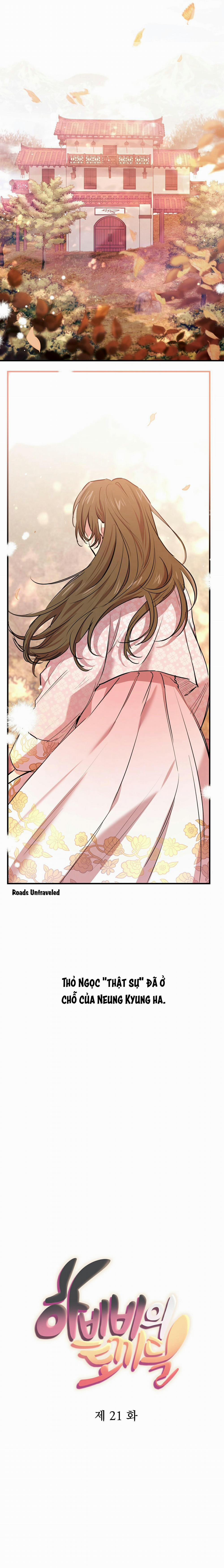 Những Chú Thỏ Của Habibi 21 trang 5