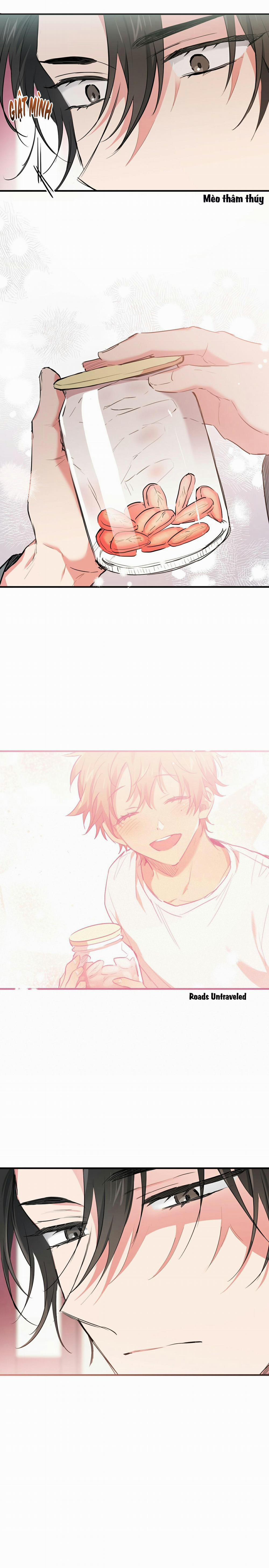 Những Chú Thỏ Của Habibi 21 trang 7