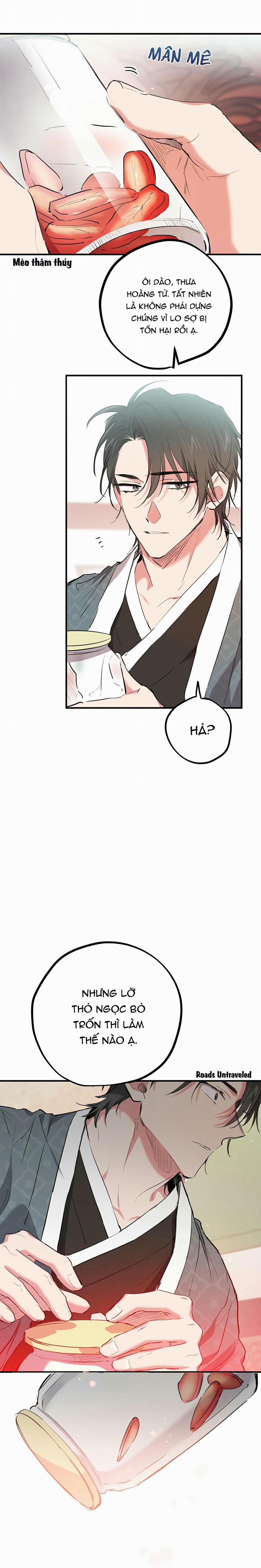 Những Chú Thỏ Của Habibi 21 trang 8