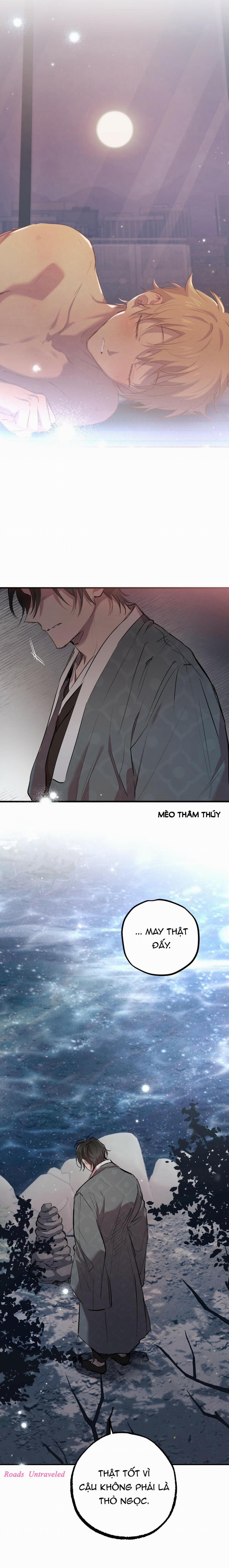 Những Chú Thỏ Của Habibi 22 trang 12