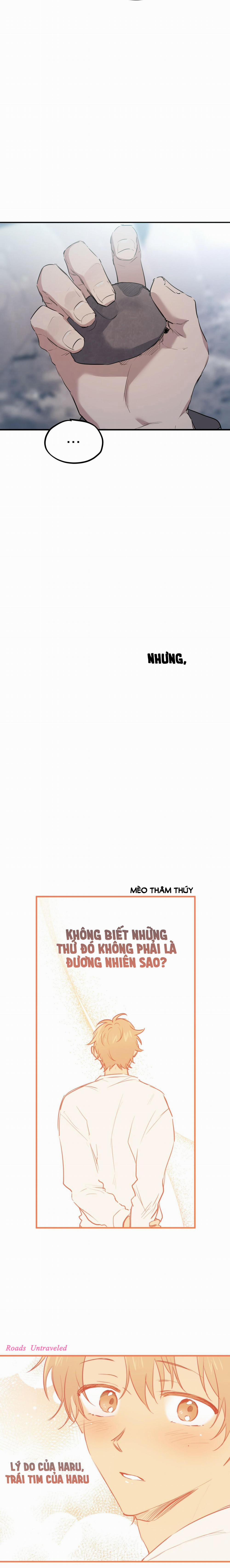 Những Chú Thỏ Của Habibi 22 trang 18