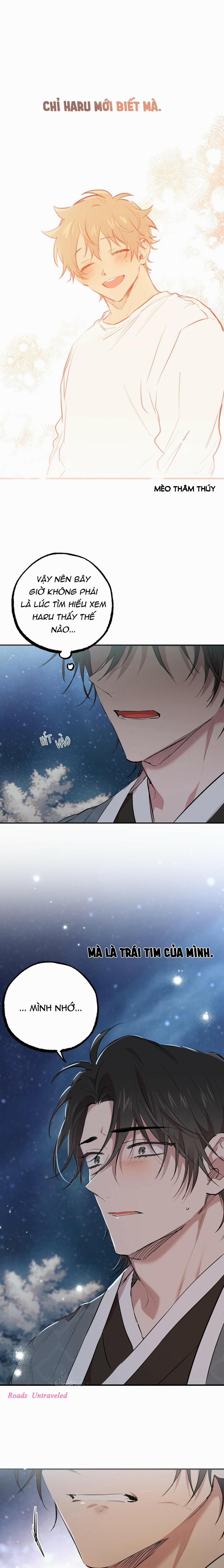 Những Chú Thỏ Của Habibi 22 trang 19