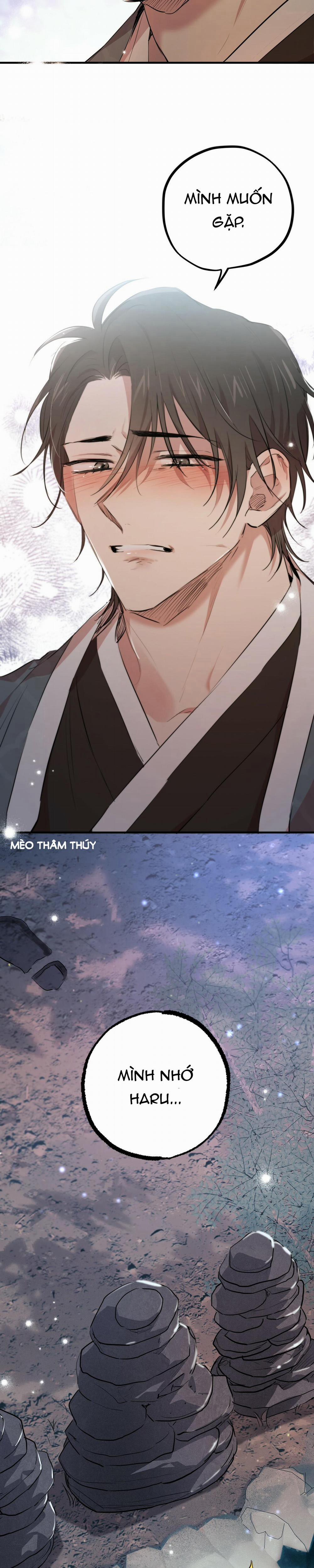 Những Chú Thỏ Của Habibi 22 trang 20