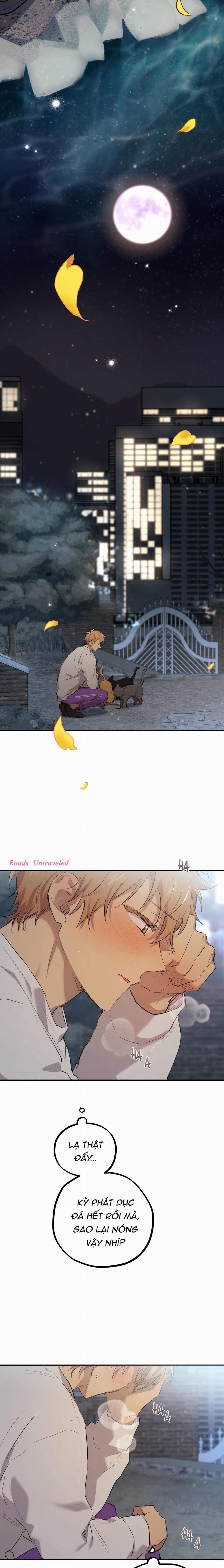 Những Chú Thỏ Của Habibi 22 trang 21