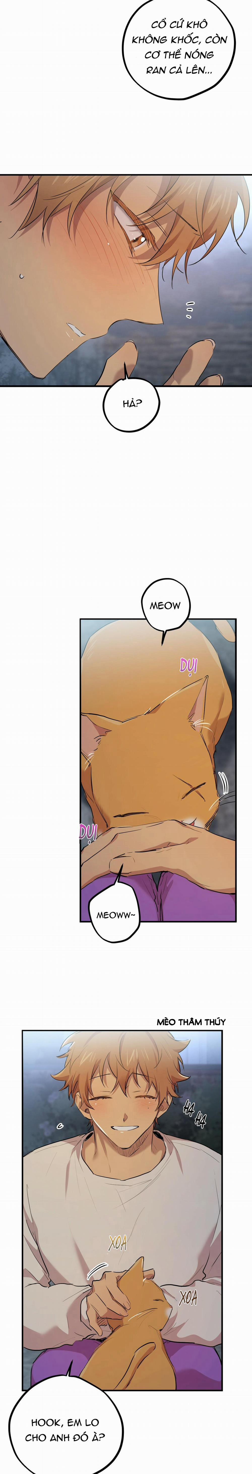 Những Chú Thỏ Của Habibi 22 trang 22