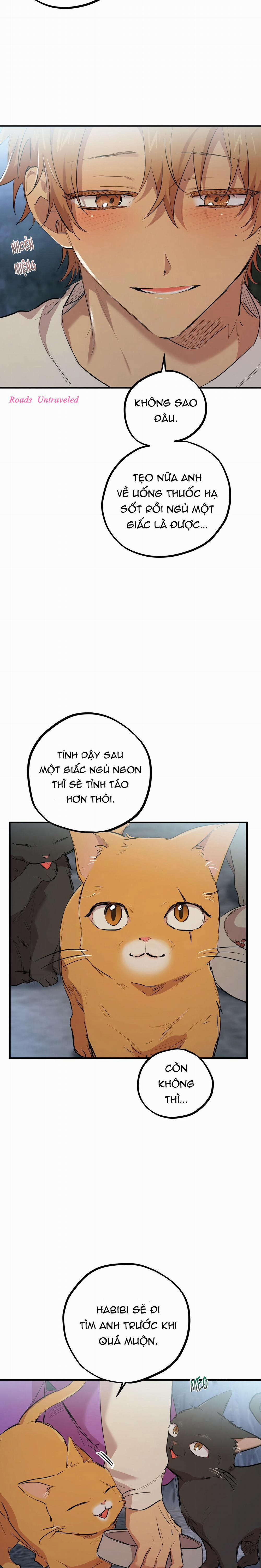 Những Chú Thỏ Của Habibi 22 trang 23