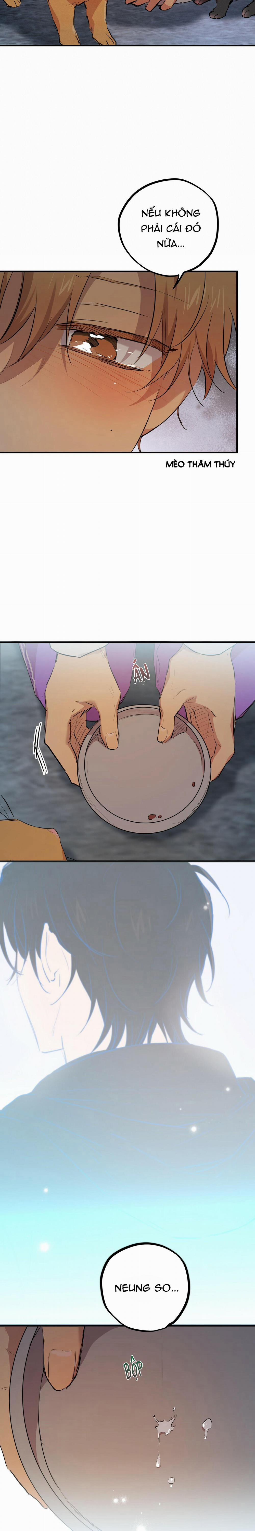 Những Chú Thỏ Của Habibi 22 trang 24