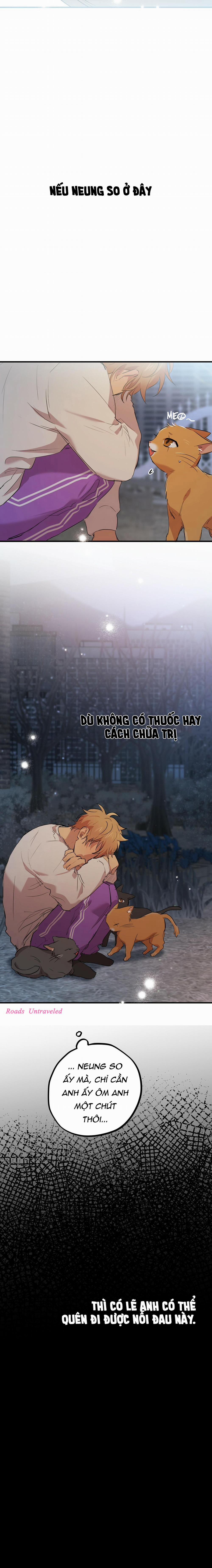 Những Chú Thỏ Của Habibi 22 trang 25