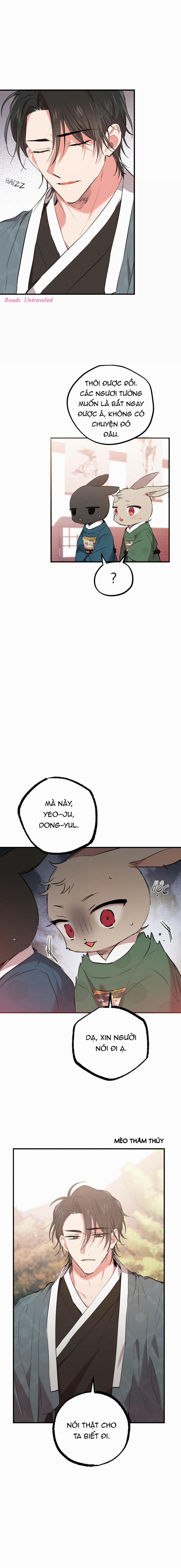 Những Chú Thỏ Của Habibi 22 trang 3