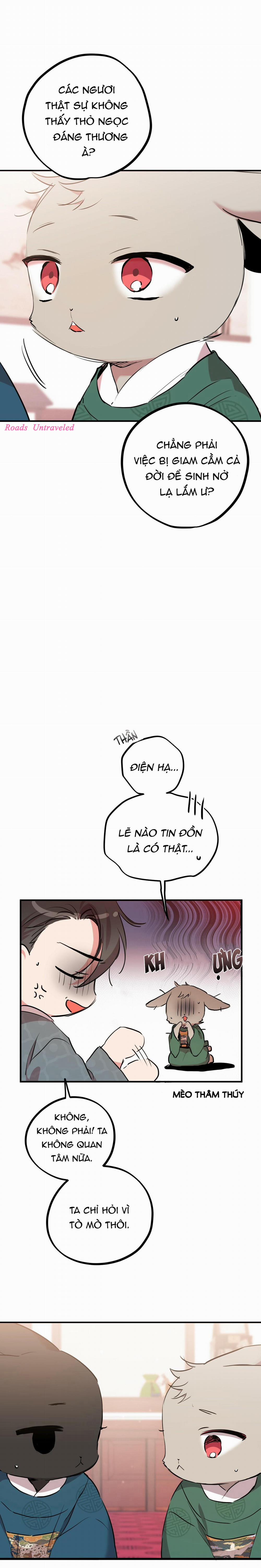 Những Chú Thỏ Của Habibi 22 trang 4