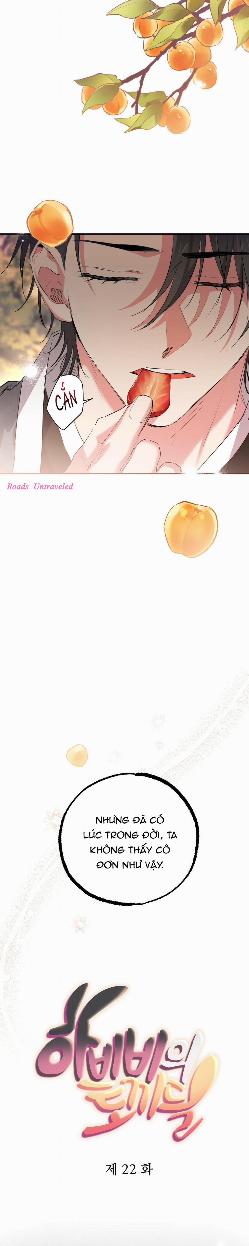 Những Chú Thỏ Của Habibi 22 trang 7