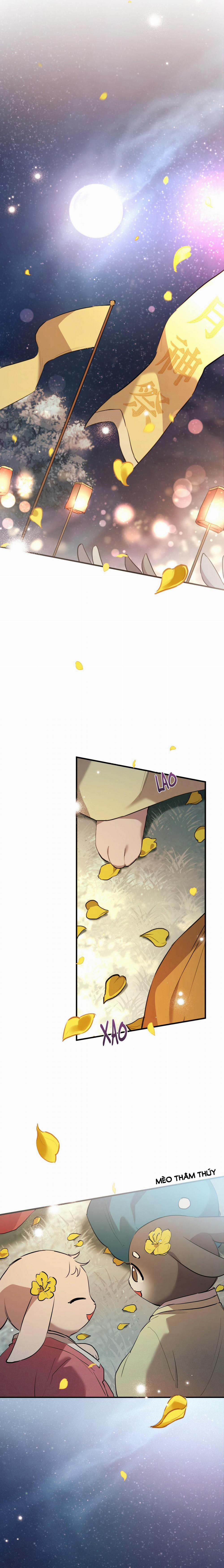 Những Chú Thỏ Của Habibi 22 trang 8